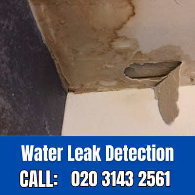 Expert Water Leak Detection Services in Greenhithe | Greenhithe Leak Detection